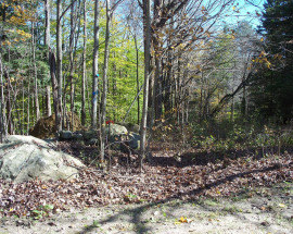 Norfolk Rd