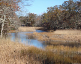 128 Neck Road