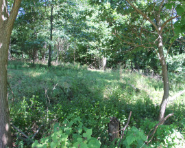 00 Eastway