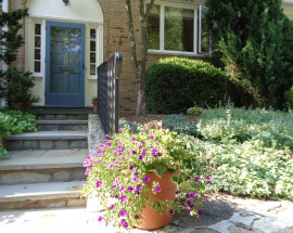 205 Main Street #38