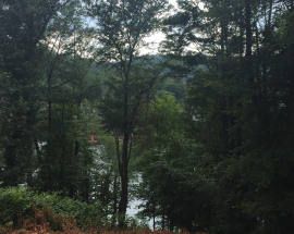 126 Lower Fish Rock Road