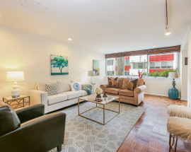 1006 Colony Drive