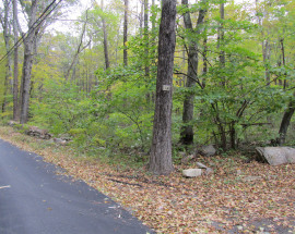 14 Whortleberry Road