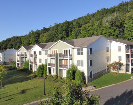 619 Danbury Road #307 #307