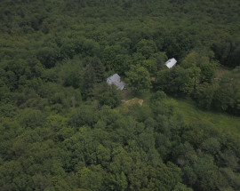 51 Norfolk Rd