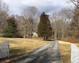 220 Damascus Road