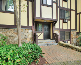 50 Aiken Street #335