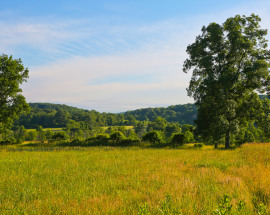 39 Sharon Mountain Road