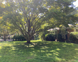 82 Maple Avenue South
