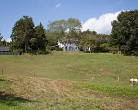 619 Hamburg Road