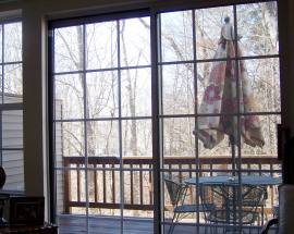 1007 Foxboro Drive