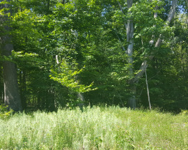 Great Hill Rd