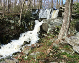 201 Millstone Road