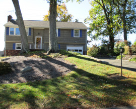 11 Orlando Road