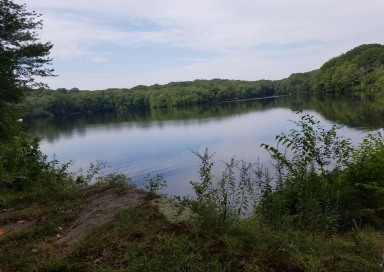 220 Middlesex Turnpike