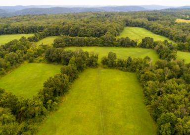 37 Popple Swamp Road