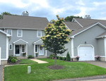 66 Copley Road Photo